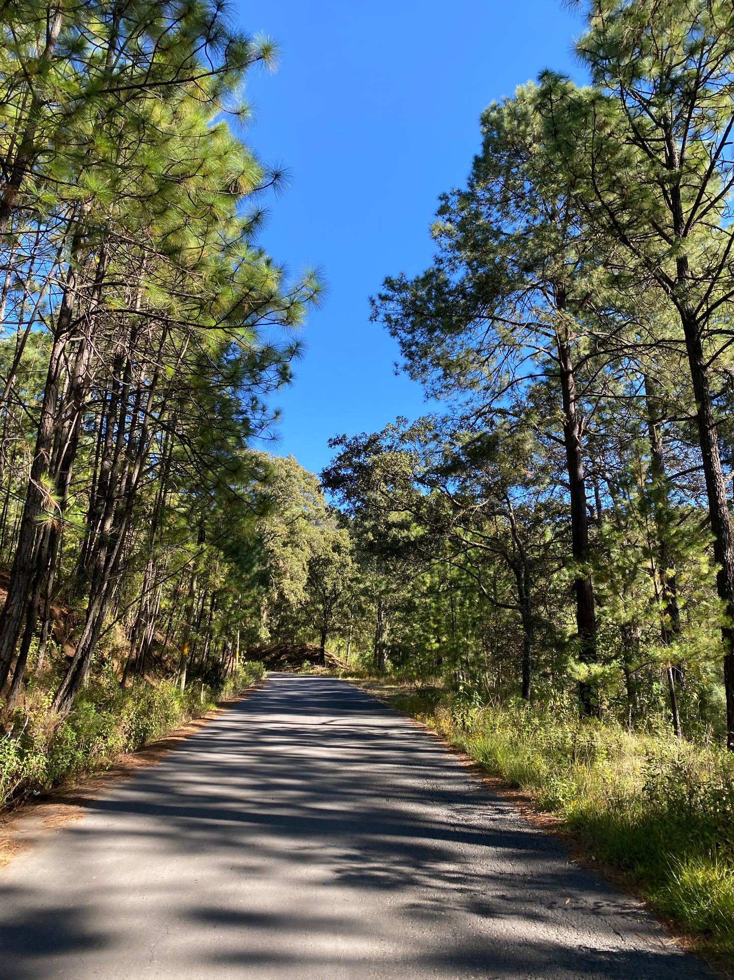 Valle de Bravo | 27.03.2022