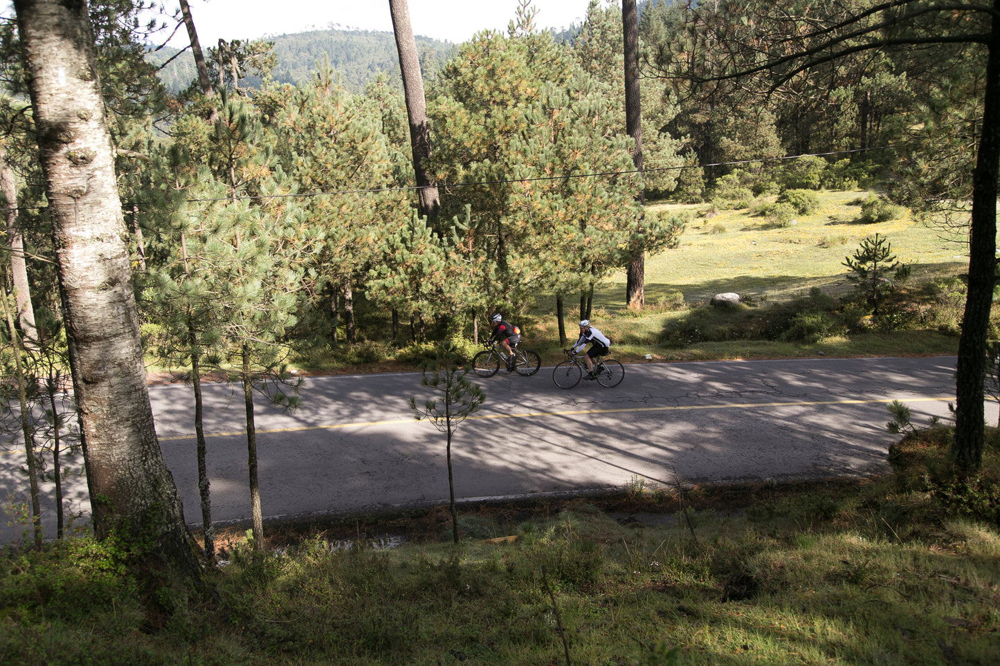 Loop por CCO | 01.05.2022