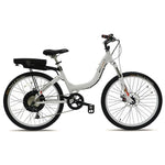 ProdecoTech Stride R 500 Electric Bicycle