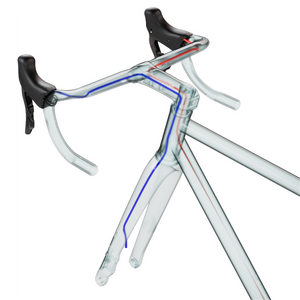 Trittico Stem