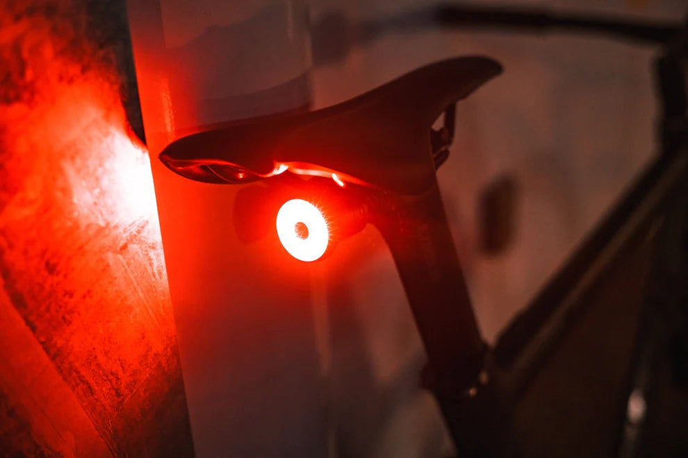 Backeye Tail Light