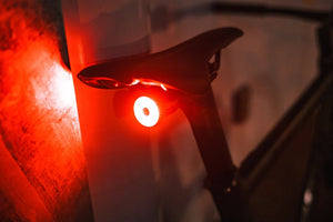 Backeye Tail Light