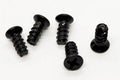Brompton Replacement Screws for Chain Rings