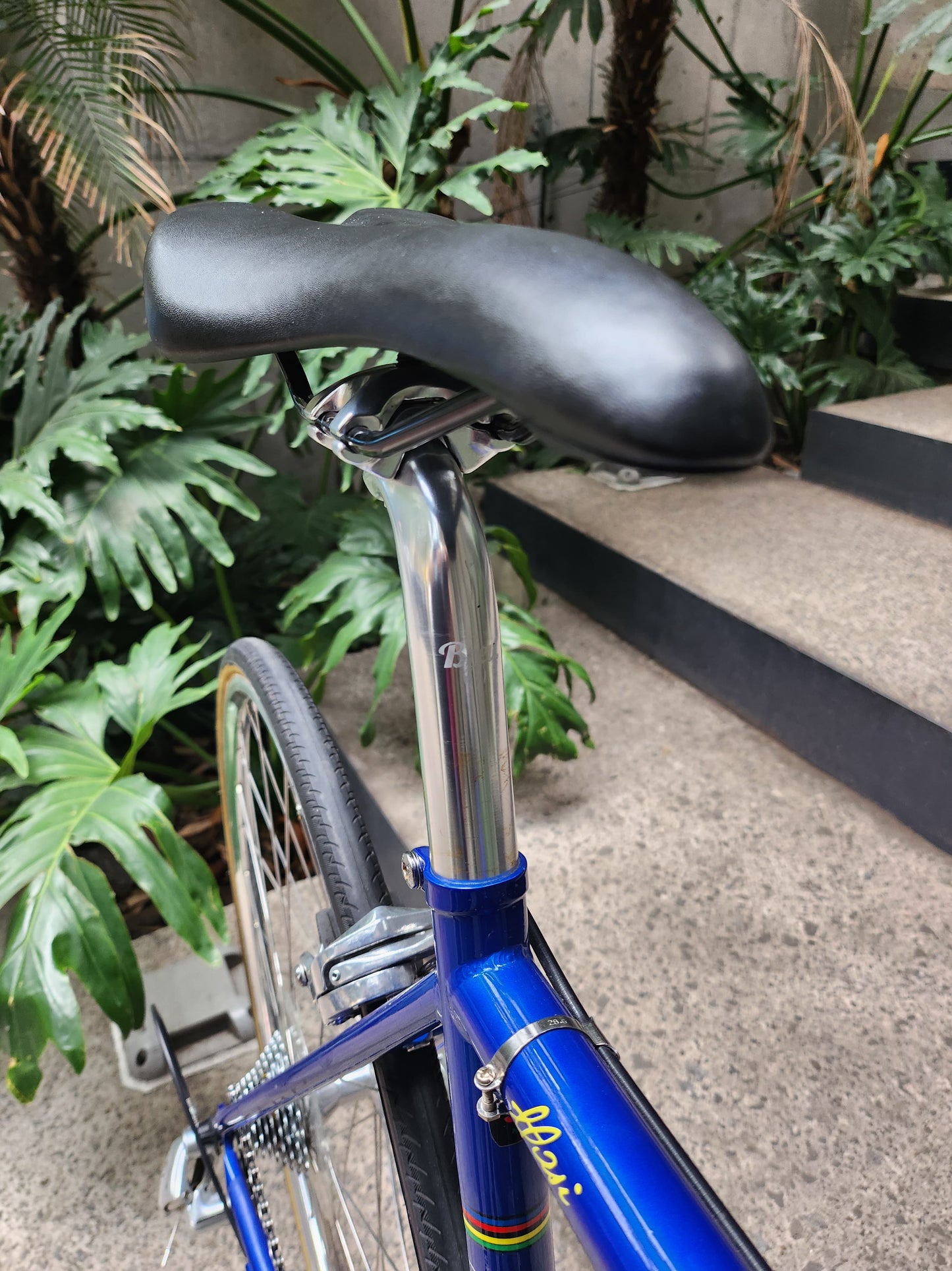 Speciale Strada - 51cm