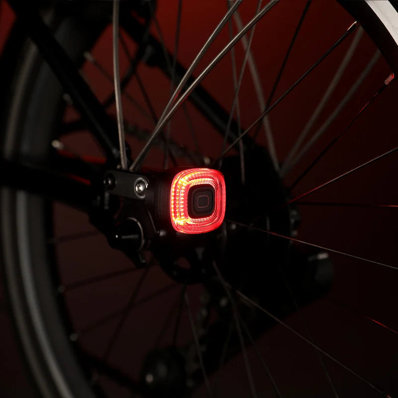 Base para lámpara trasera Brompton