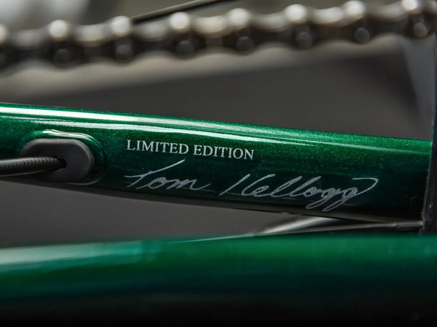 The Satyr - Complete Bike