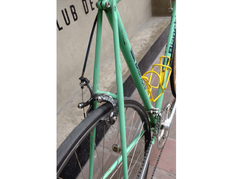 Campione d'Italia 1984 - 59cm