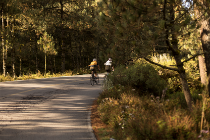 CCO por Manantial  | 12.03.2022