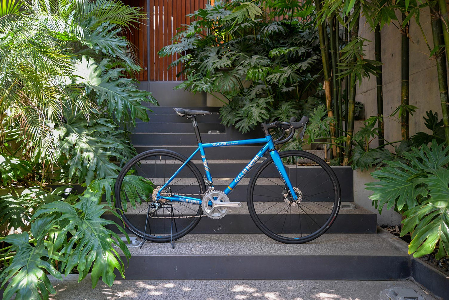 Vigorelli Disc 2020 - Talla 47cm