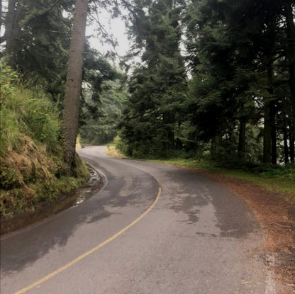 Paso de Cortés - 14.11.2021