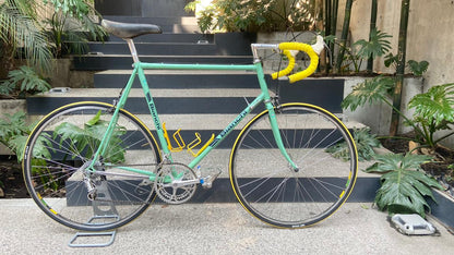 Campione d'Italia 1984 - 59cm