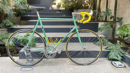 Campione d'Italia 1984 - 59cm