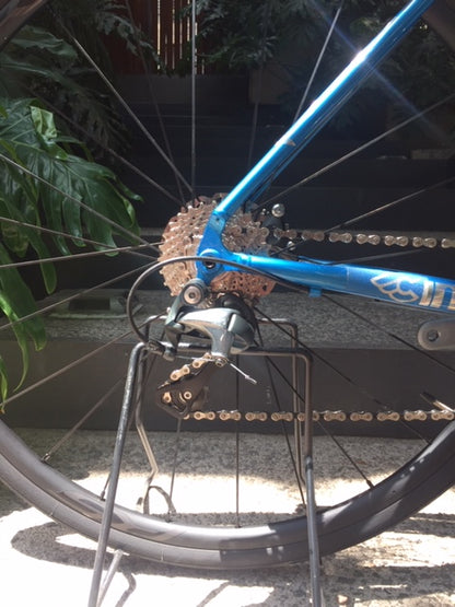 Vigorelli Disc 2020 - Talla 47cm